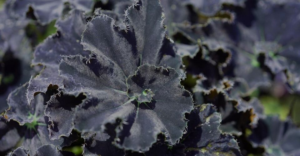 ������������ � ������: ���-10 ������ �������� ��� ������ ����