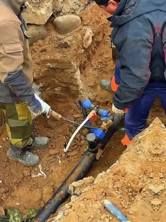 ��� "���������" ���������� �������� �������� ��������������� ����� � ���������� ������������� ��� ������� ������