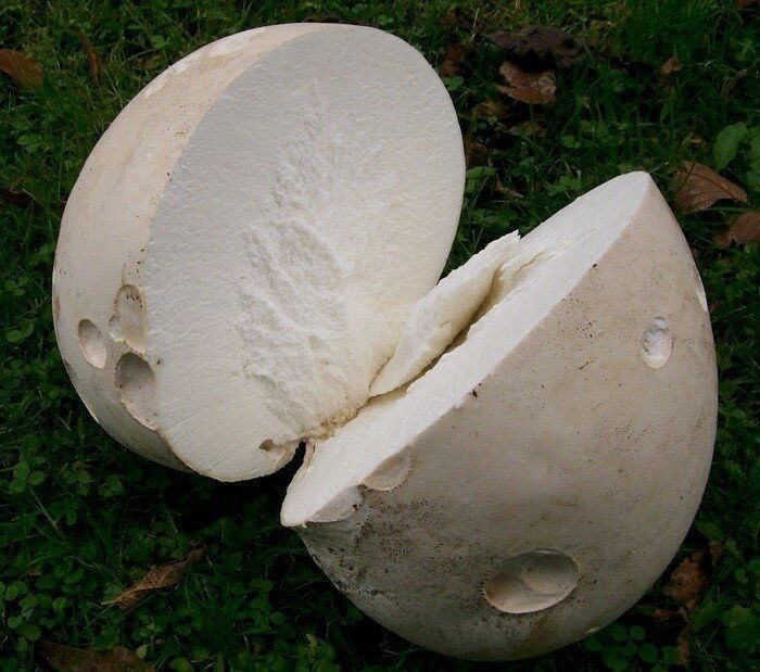 ���������� ����, ��������� ���������� ��� �����