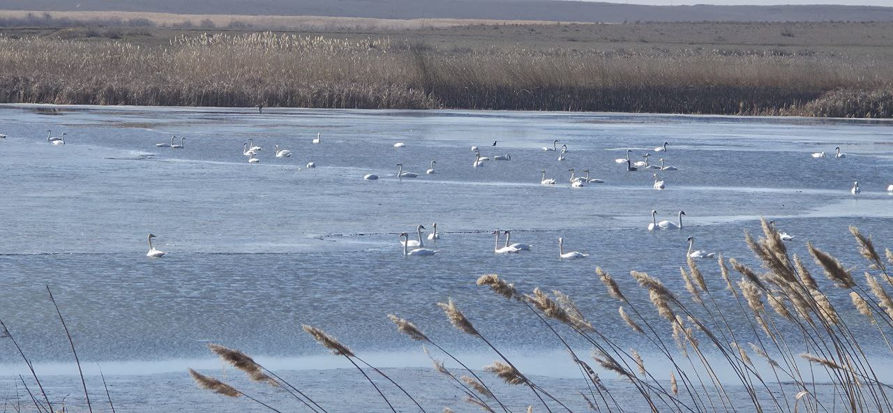 Доброе утро!. Сегодня 25 февраля, среда, мы представляем вам погоду на этот день