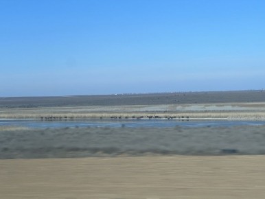 ������ ����!. ������� 26 �������, �������, �� ������������ ��� ������ �� ���� ����