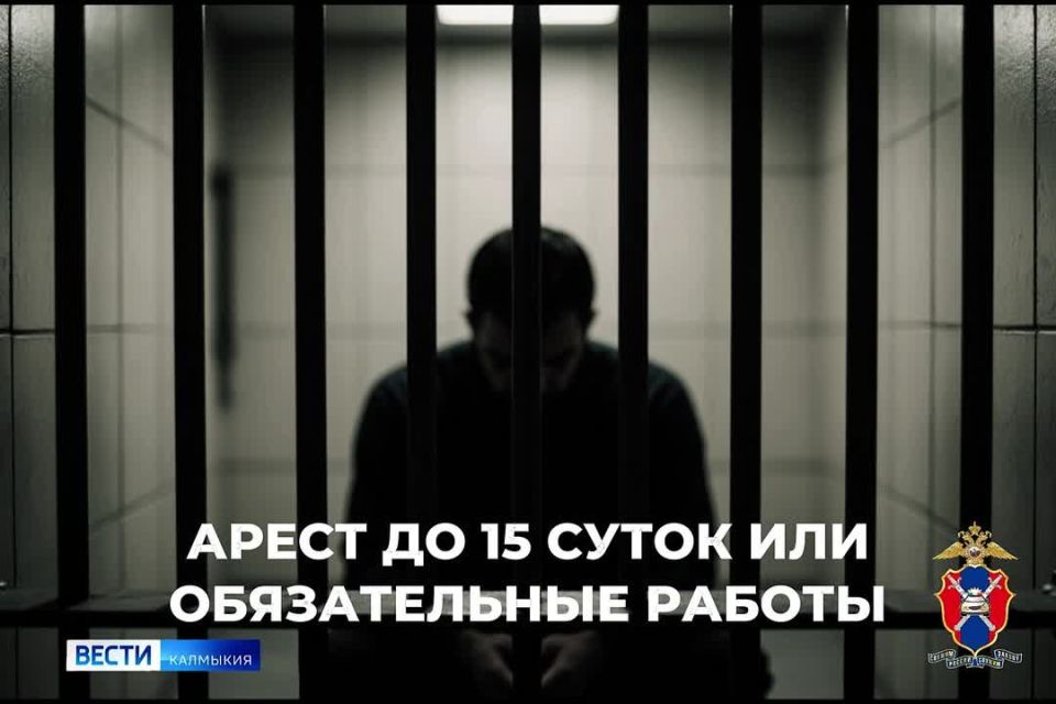 ������ �������� �����? ����������� ������, ��� �� �������!