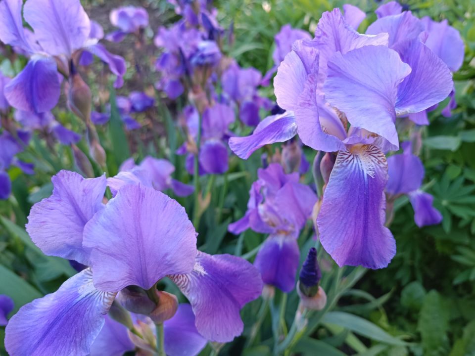 ����������� ����� � �������: ����� � ��� ��������� ������������