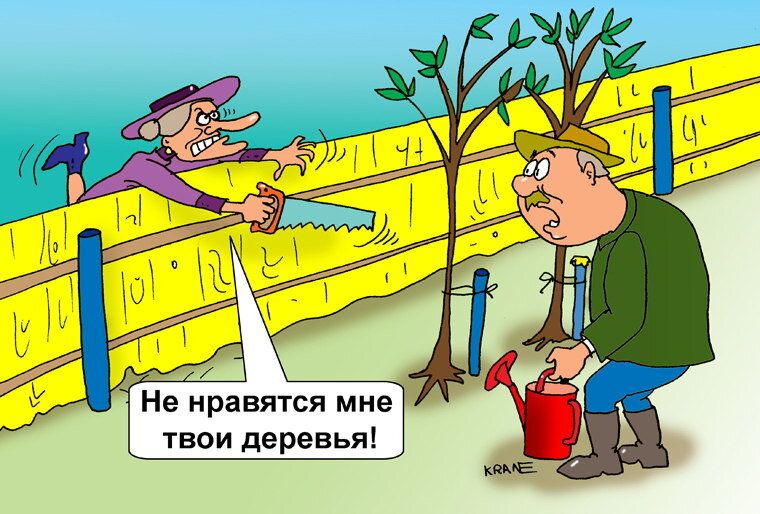 ��� �������� ������� � ������� ������� �� ����