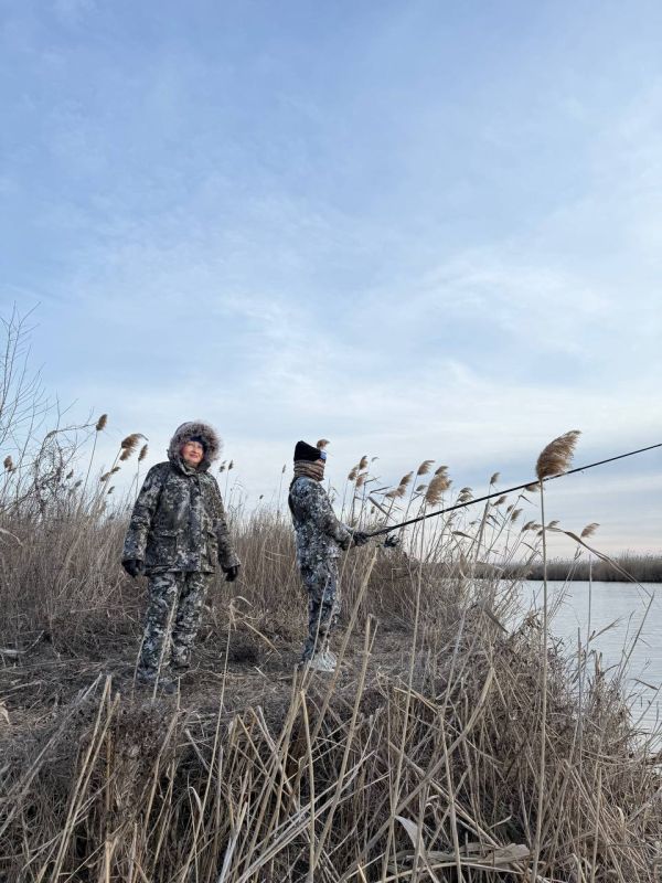 ���� �������: ������� � ������. �������� ���������