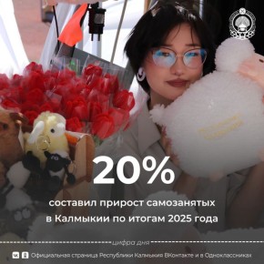 Число самозанятых в Калмыкии увеличилось на 20% и достигло 15,6 тысячи человек