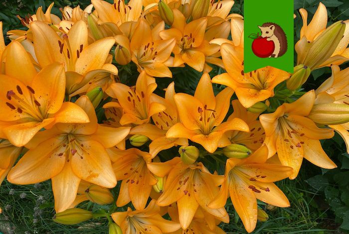 ���� �� ������� ����� ��������: ��� ����� ��� ������ �������� � ��������� ����