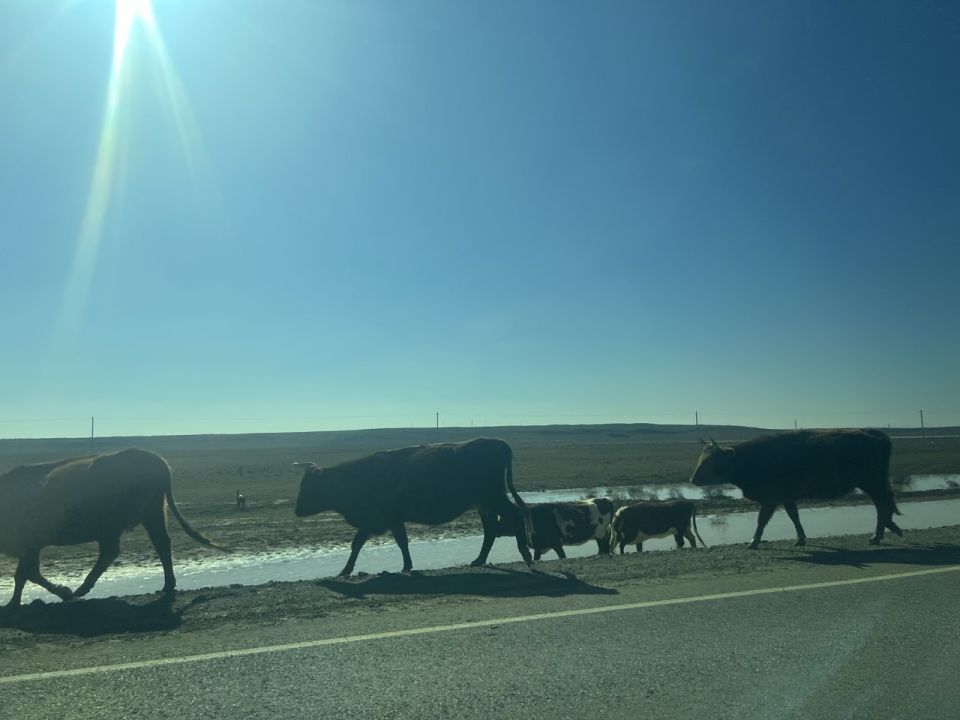 ������ ����!. ������� 27 �������, �������, �� ������������ ��� ������ �� ���� ����