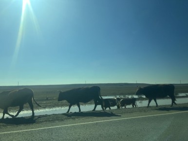 ������ ����!. ������� 27 �������, �������, �� ������������ ��� ������ �� ���� ����