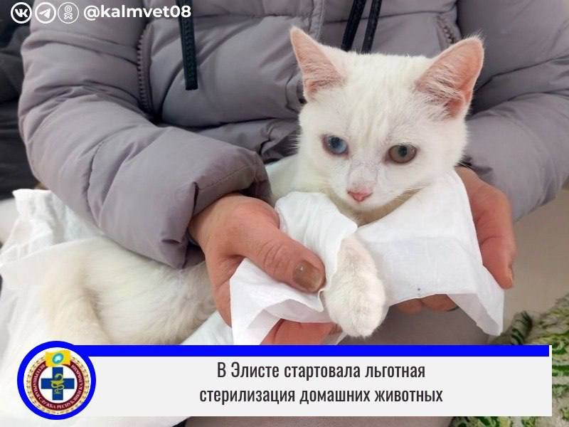 � ����������� ��������� ���������� ���������� ����� �� �������� ������������ ����� � �����