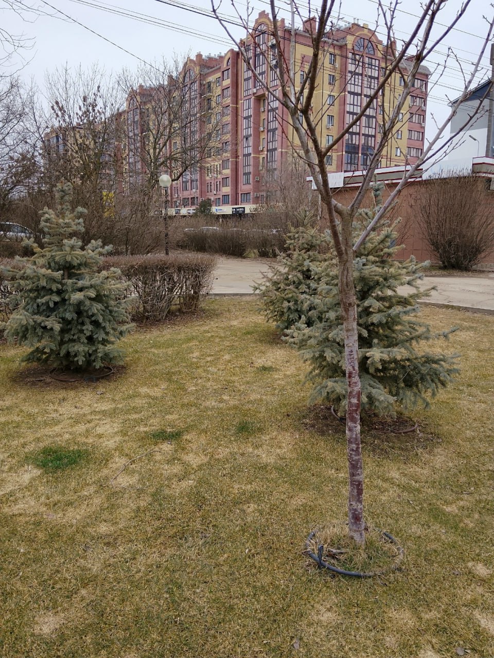 Доброе утро!. Сегодня 28 февраля, суббота, мы представляем вам погоду на этот день