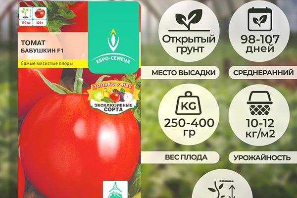 Томаты Бабушкин: Всё, что нужно знать о популярном сортe