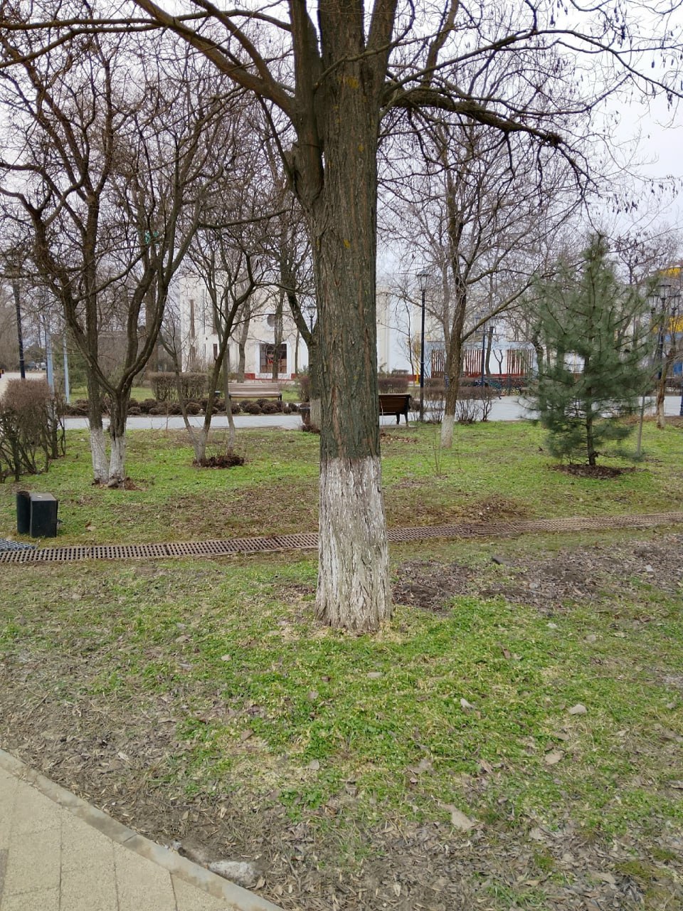 Доброе утро!. Сегодня 28 февраля, суббота, мы представляем вам погоду на этот день Доброе утро!. Сегодня 28 февраля, суббота, мы представляем вам погоду на этот день