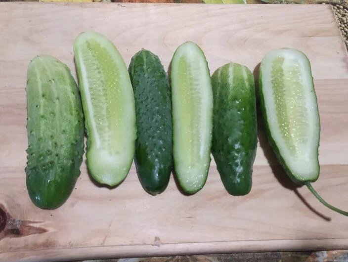 Как правильно мариновать огурцы на зиму: секреты и советы