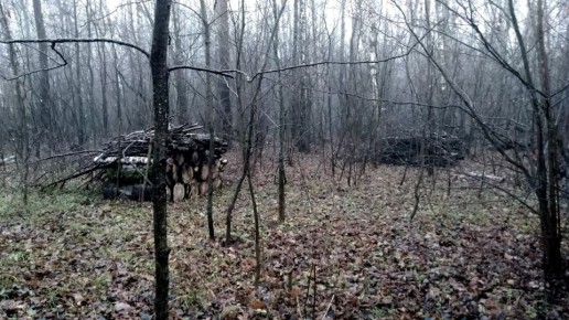 ������ � ���� �������� ������� ��������� � ����� ��������� ���� ��� � ����� ����