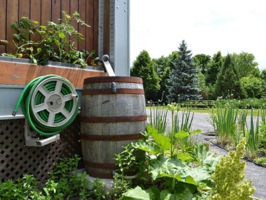 Как простая вода превращается в секрет успеха вашего урожая