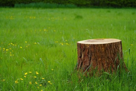 ��� ���������� ���������� �� ����: ����������� �����, ������� ����� �����