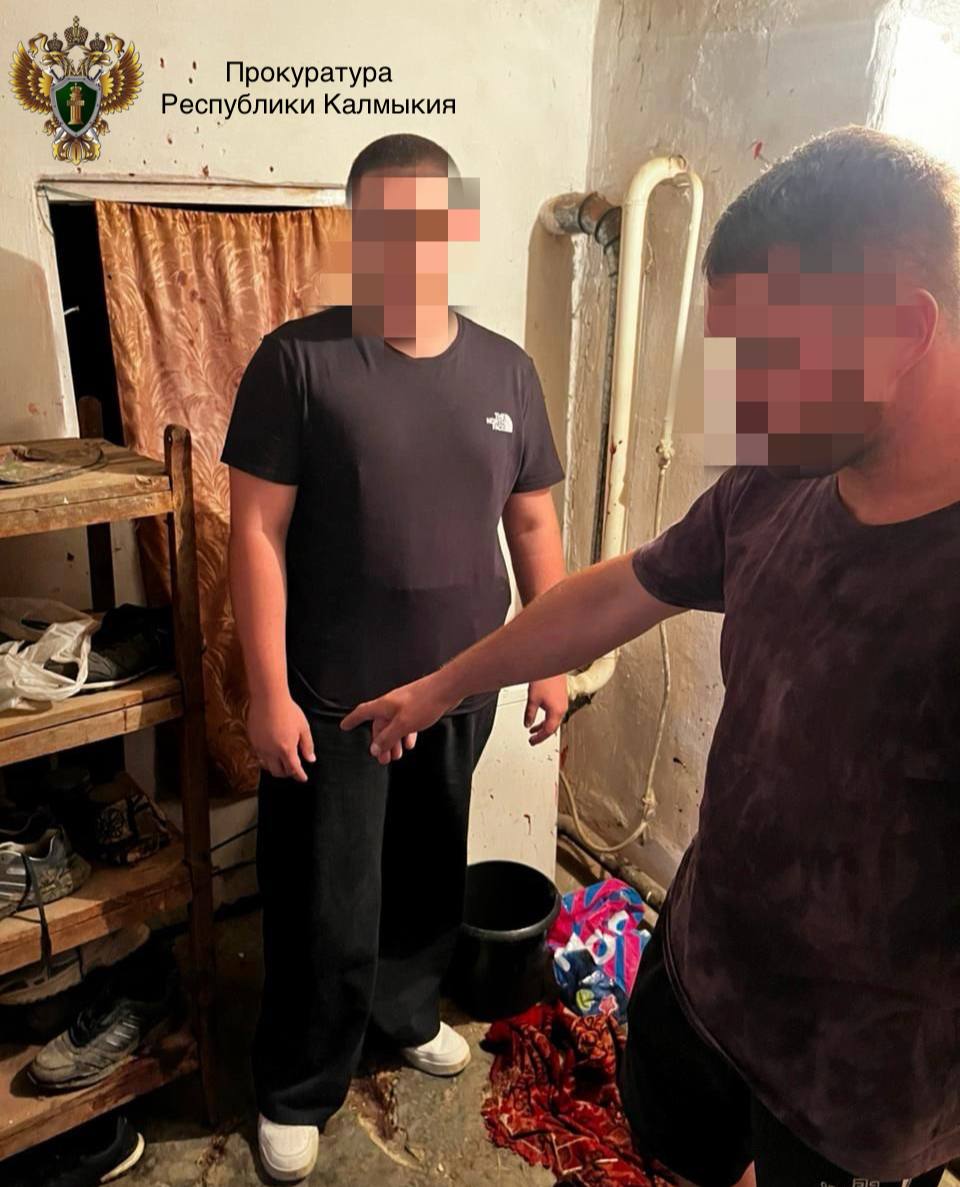 В Городовиковском районе вынесен приговор двум местным жителям, избившим мужчину до тяжких травм