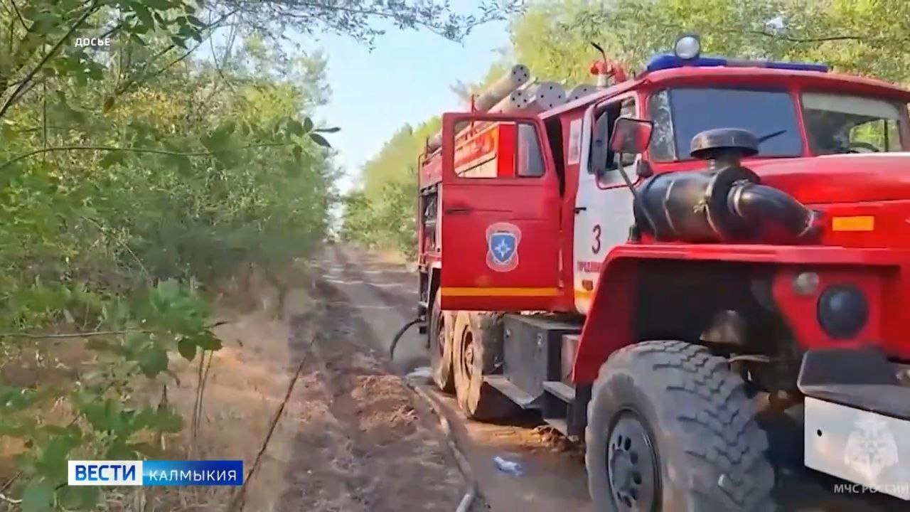 Сегодня на территории земель лесного фонда Калмыкии объявлен пожароопасный сезон