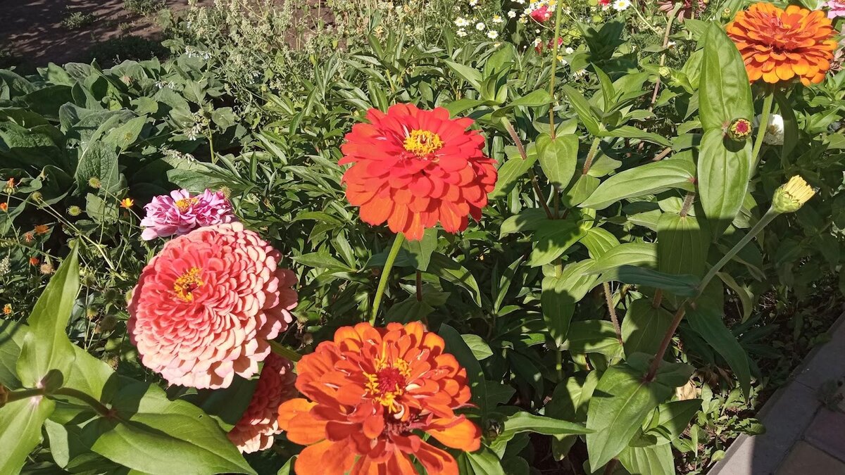 Когда отпуск превращается в испытание: как избежать нежданного гостя