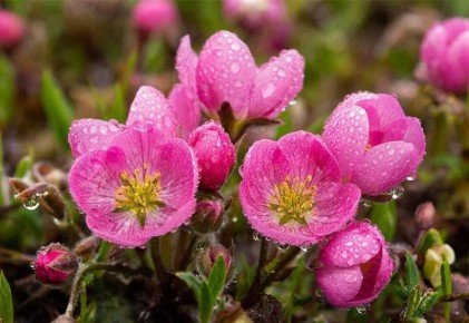 ���������� �������� � ��������: ��������� �������� ������� ������