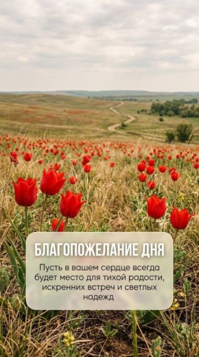 � ������������ ����� ����������� �� ������ �������, �� � ���� ���������� �������