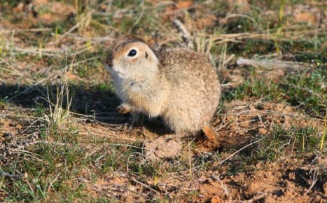 ������ ����!. ������� 6 �����, �������, �� ������������ ��� ������ �� ���� ����