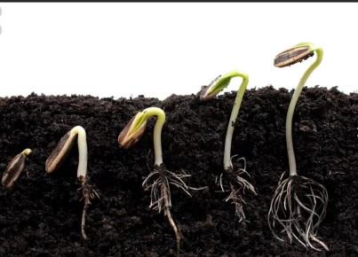 ������� ����������� �����: ��� �������� ������� ���� � ��� �� ������