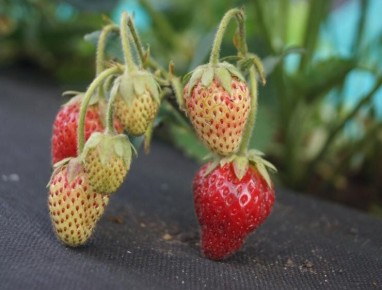 ��� ��������� ��������� �� ���������� � ����� ������������