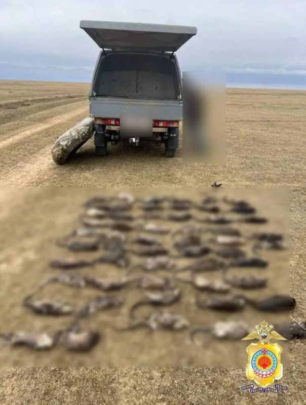 55 ������ ��������� ������� ������� ���������� ������������ ���-����������� ������ � ���� ��������� �����������