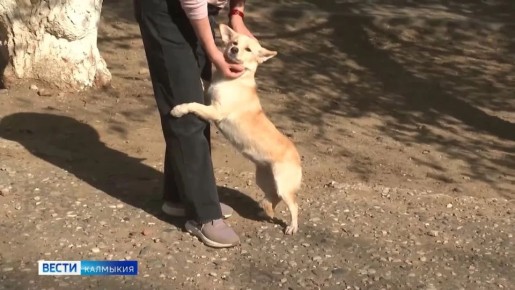 � ������������ ����� ������ ��������� ��������� ������ ������� �� �����