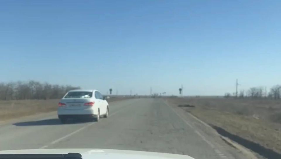 � �������� ������������ �������� ����������� ���������� ������ � �������������� ���������� ���������� � ����������� ����������