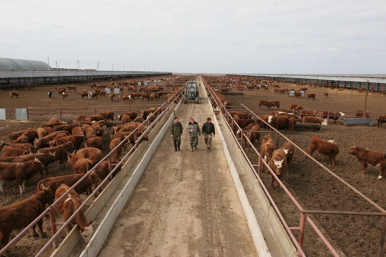 Развитие сельских территорий остается одним из приоритетов Народной программы «Единой России»