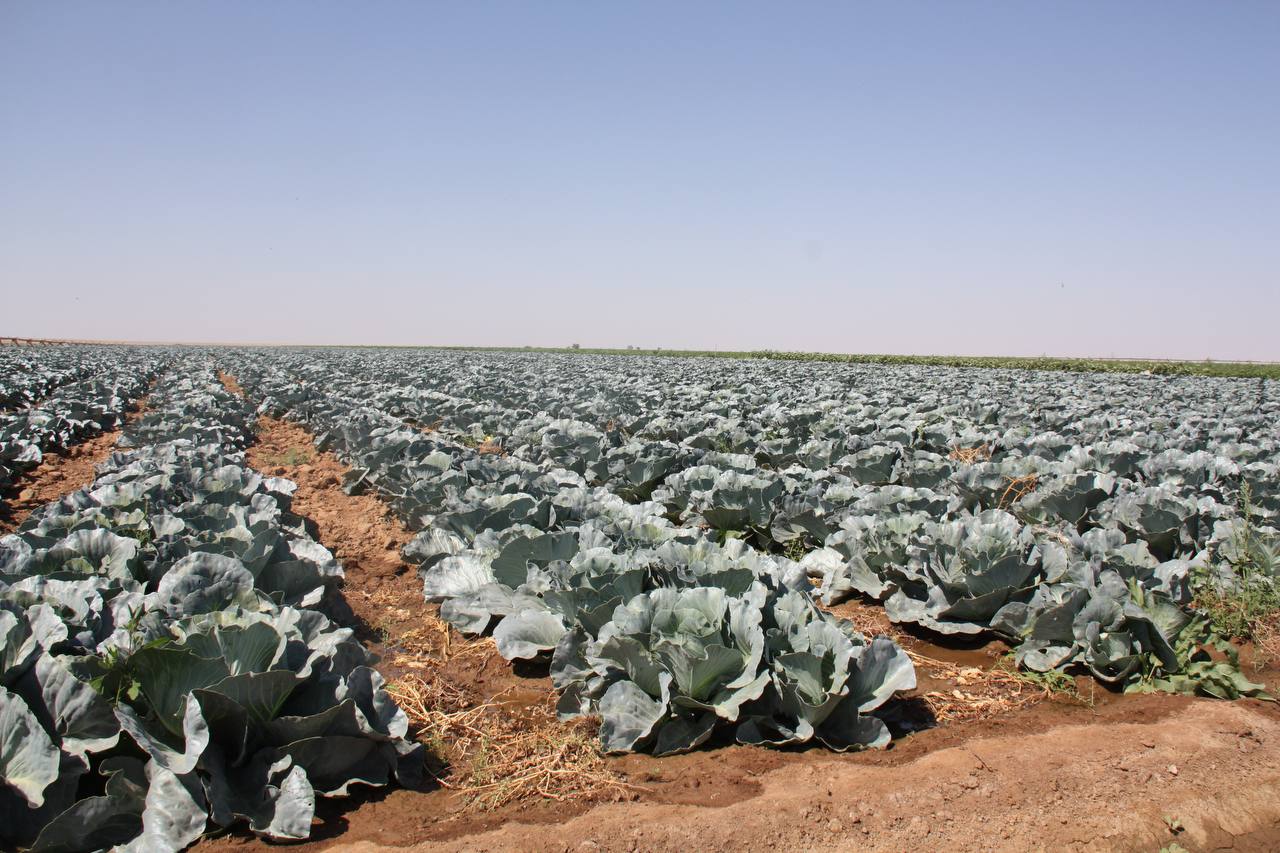 Развитие сельских территорий остается одним из приоритетов Народной программы «Единой России» Развитие сельских территорий остается одним из приоритетов Народной программы «Единой России»