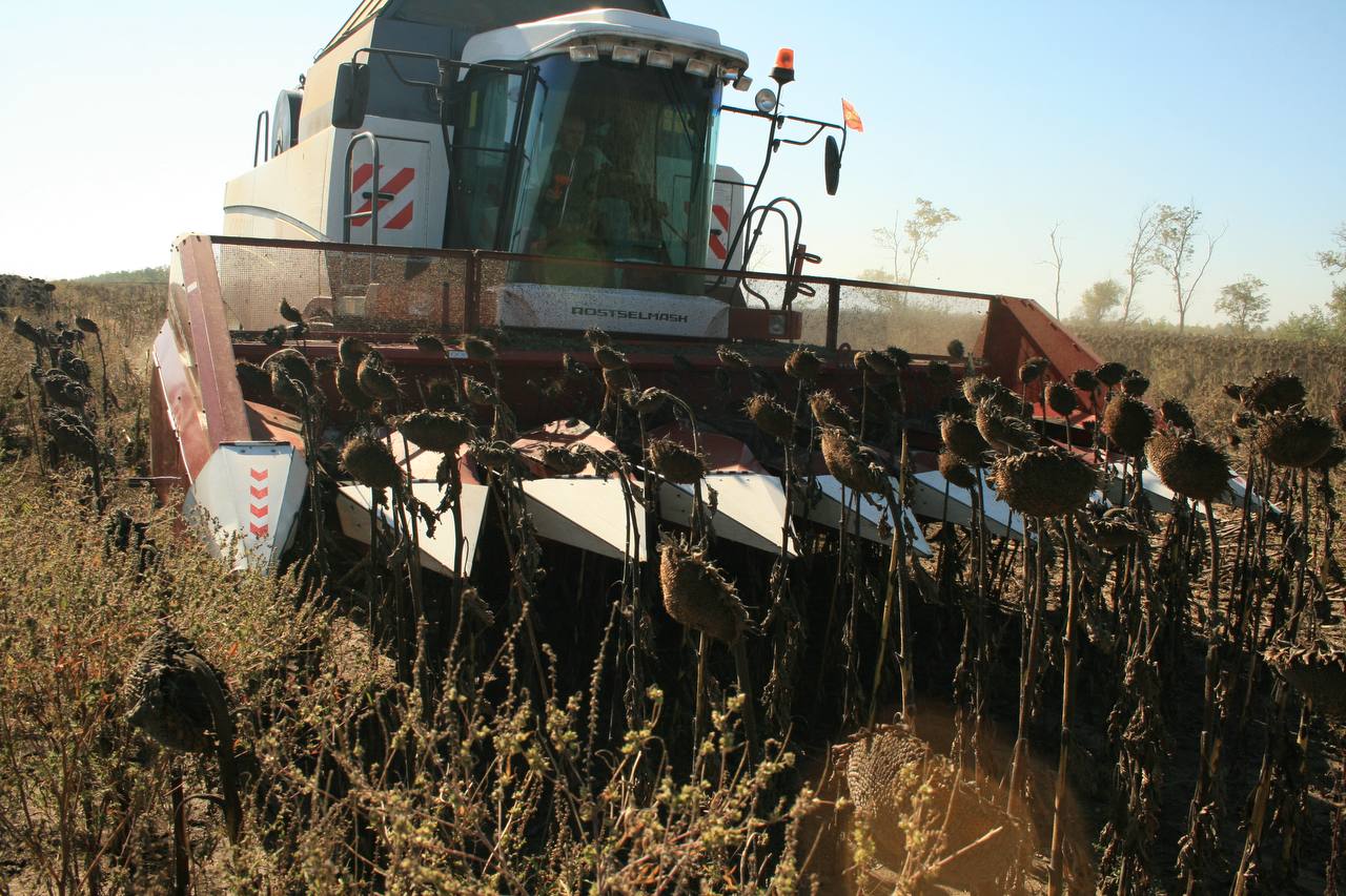 Развитие сельских территорий остается одним из приоритетов Народной программы «Единой России» Развитие сельских территорий остается одним из приоритетов Народной программы «Единой России»