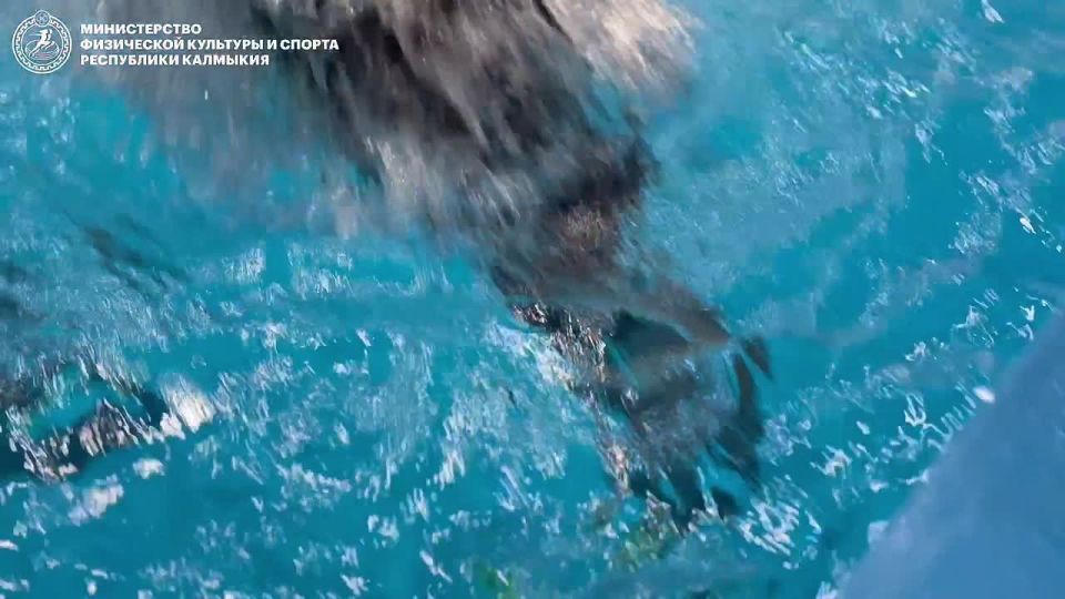 Ветераны СВО, участники проекта «Герои-08», посетили бассейн «Ойрат-Арены»