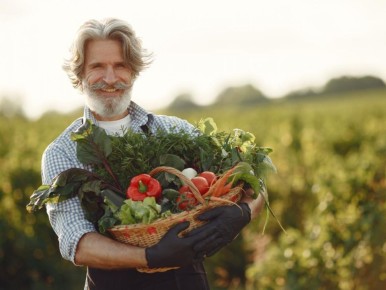 ����������� ������� ������� ������ ������ ������� ����