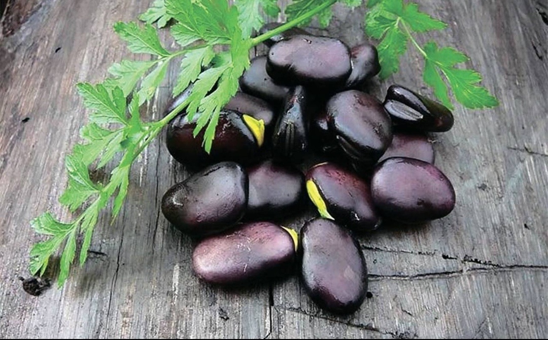 Уникальные русские черные бобы: история и польза для здоровья