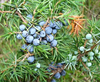 ������������: �������� �������� � ������� ����� �� ���������