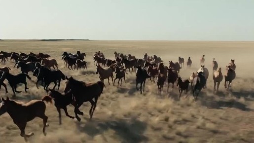 ����� ���� ������ �������� ��� �� �������� ������� ���� �����!