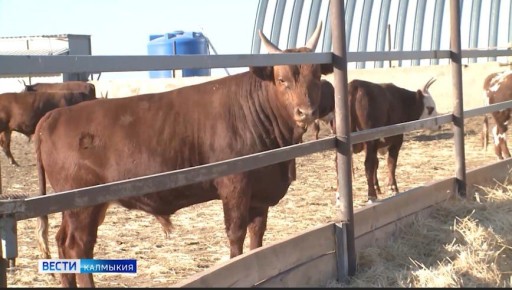 � ������ � ���� ������� �������� ��������� �������� ��-�� ����������� �����