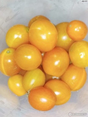 ����� �������� ������: ������� ������� ��� ����� ���� � ���������