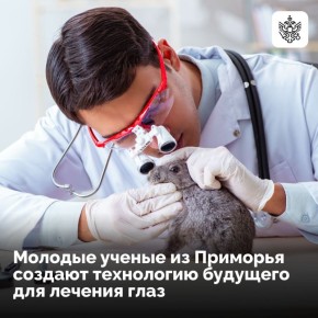 � ������������� ��������������� ��������������� �������� ������ ���� ������������ �� �������������� ����������� �����, ��������� �������� ��������� �����������