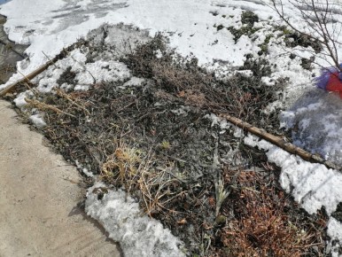 ������ ��� � ������ ������ki ����� � ������