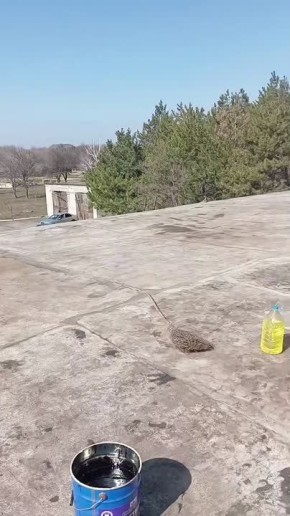 ������ �� ������� ������ ��������� ���������� � �. �������� ������������