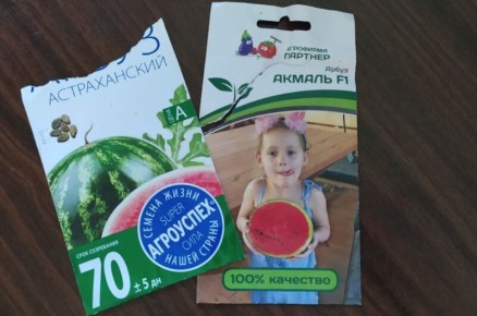 Советы по посеву арбузов и дынь: когда и как правильно сеять