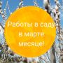 Как подготовить сад к весне: советы на март