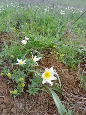 � �������� �������� �������� ���������