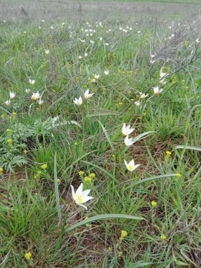 � �������� ���������� ������ ��������