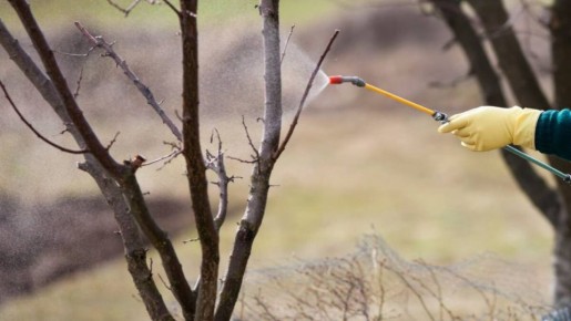 Как правильно готовить баковые смеси для весенней обработки сада?